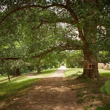 Exklusive Im Schloss Vila *