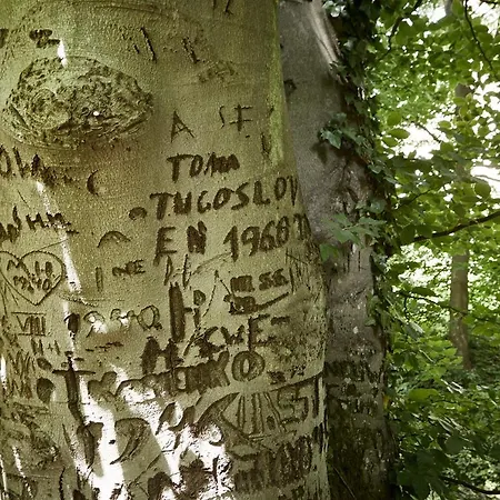 Exklusive Im Schloss Villa *