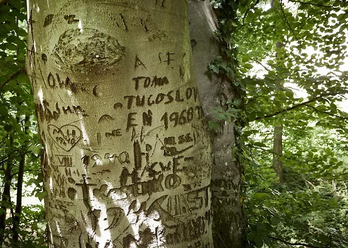 Exklusive Im Schloss Villa *